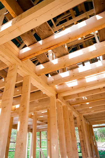Framing-Left Framing-Left